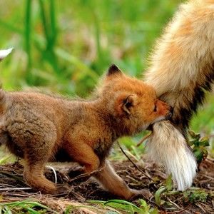 Meet your Posher, Florence